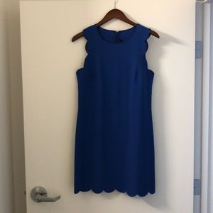 Royal Blue Scalloped Dress